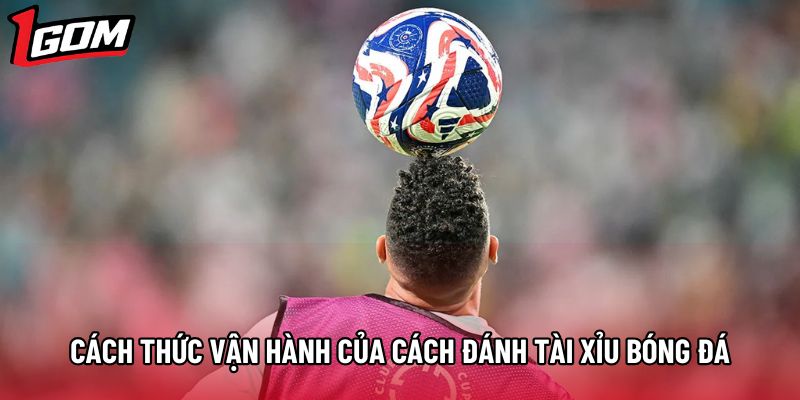 Cách thức vận hành của cách đánh tài xỉu bóng đá Cách thức vận hành của cách đánh tài xỉu bóng đá